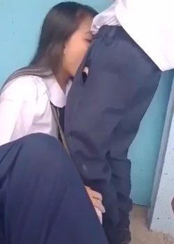 Chupa la verga de sus compañeros En clases+ Vídeo 3