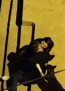 Rica Minita De Lentes Se La Cogen En La Calle Y Delante De Firulais 14